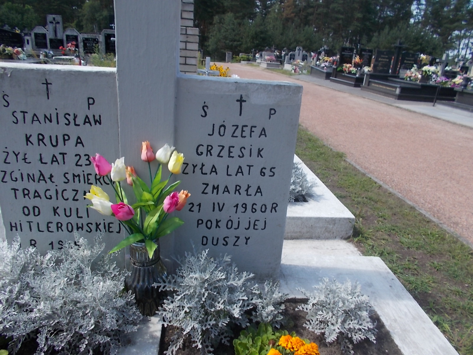 Stanisław Krupa Wierna Rzeka - Grobonet - Wyszukiwarka osób pochowanych