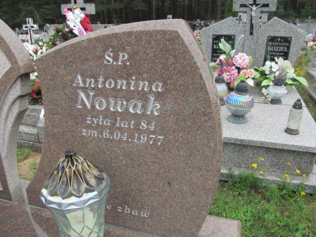 Antonina Nowak Wierna Rzeka - Grobonet - Wyszukiwarka osób pochowanych