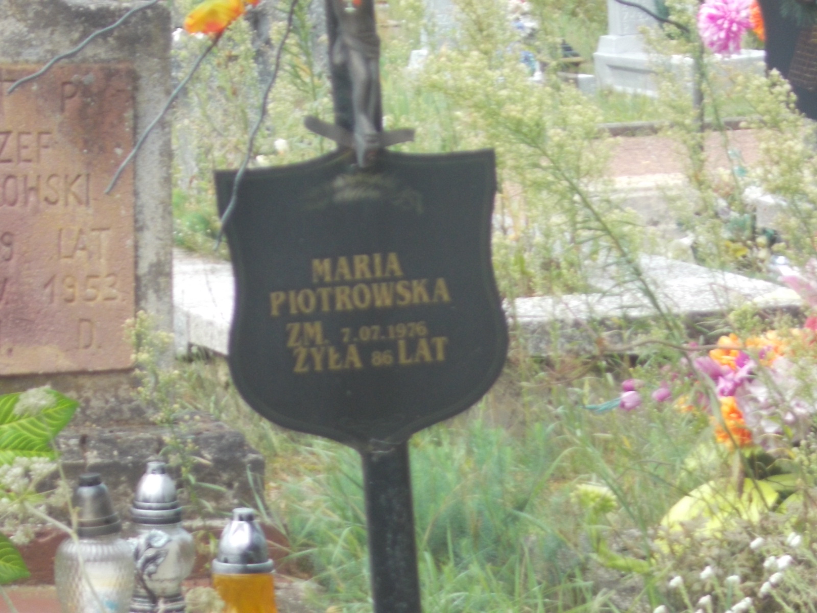 Maria Piotrowska Wierna Rzeka - Grobonet - Wyszukiwarka osób pochowanych